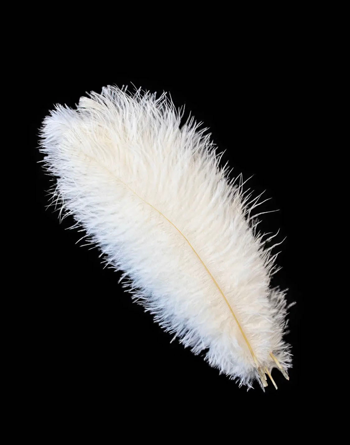 piuma di struzzo.5pezzi piume lunghezza 35-40cm per capello matrimonio